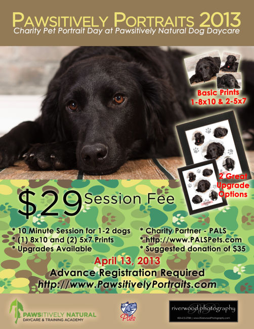 Pawsitively Portraits 2013 Poster - Pet Portrait at Pawsitively Natural Dog Daycare