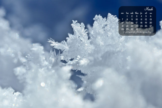 Free Desktop Wallpaper from Riverwood Photography | Ice Crystals in Winter