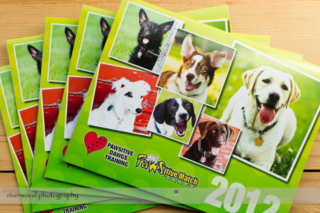 PDawgs Charity Calendar