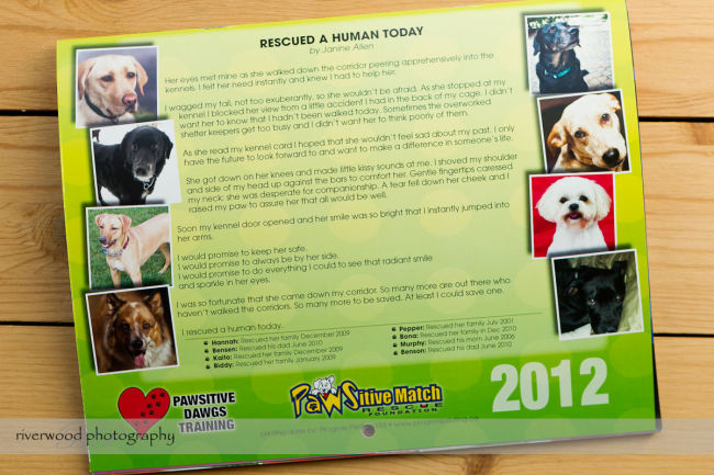 Pawsitive Dawgs Training Charity Calendar (2)