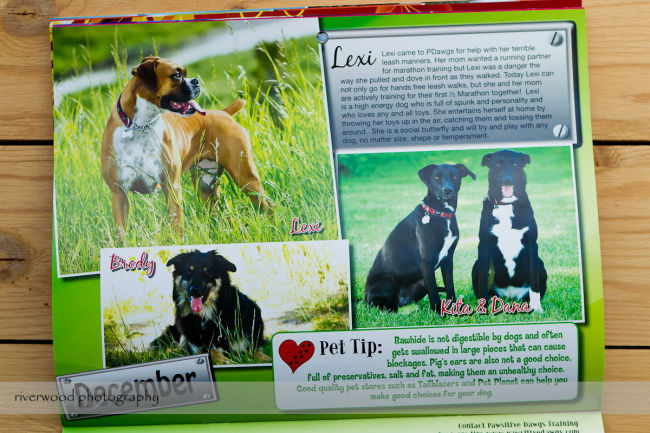 Pawsitive Dawgs Training Charity Calendar (7)