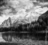 Hiking to Lake McArthur from Lake O'Hara