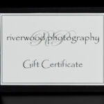 Riverwood Photography Gift Certificate created by The Uncommon Bride