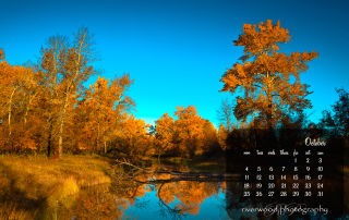 Free Desktop Background Wallpaper for October 2010