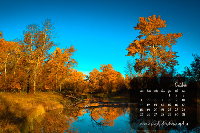 Free Desktop Background Wallpaper for October 2010