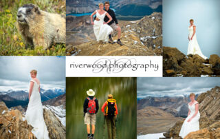 Trash the Dress at 10,000 Feet - Collage