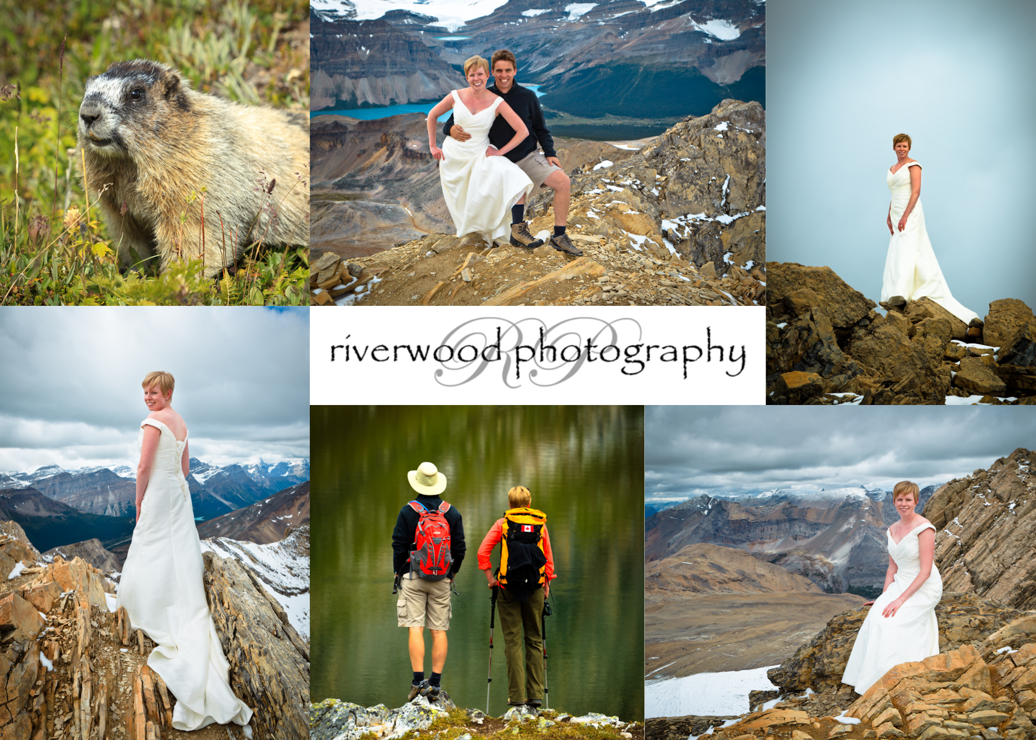 Trash the Dress at 10,000 Feet - Collage