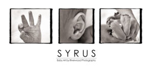 Panoramic Wall Portrait to display 3 Images from a Newborn Session