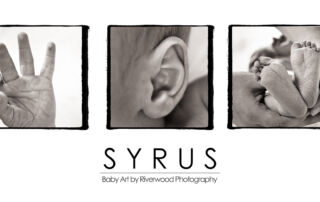 Panoramic Wall Portrait to display 3 Images from a Newborn Session