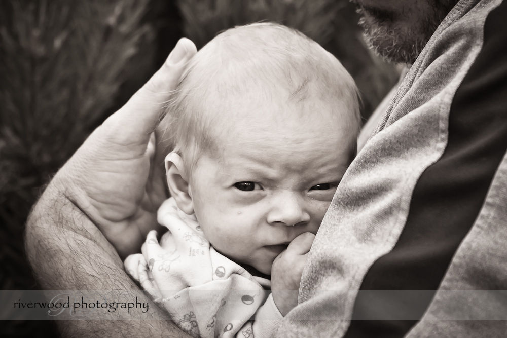 Portrait of Baby S - Safe in Dad's Arms