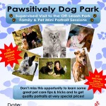 Dog Park Portrait Sessions in Conjunction with Pawsitively Natural Dog daycare