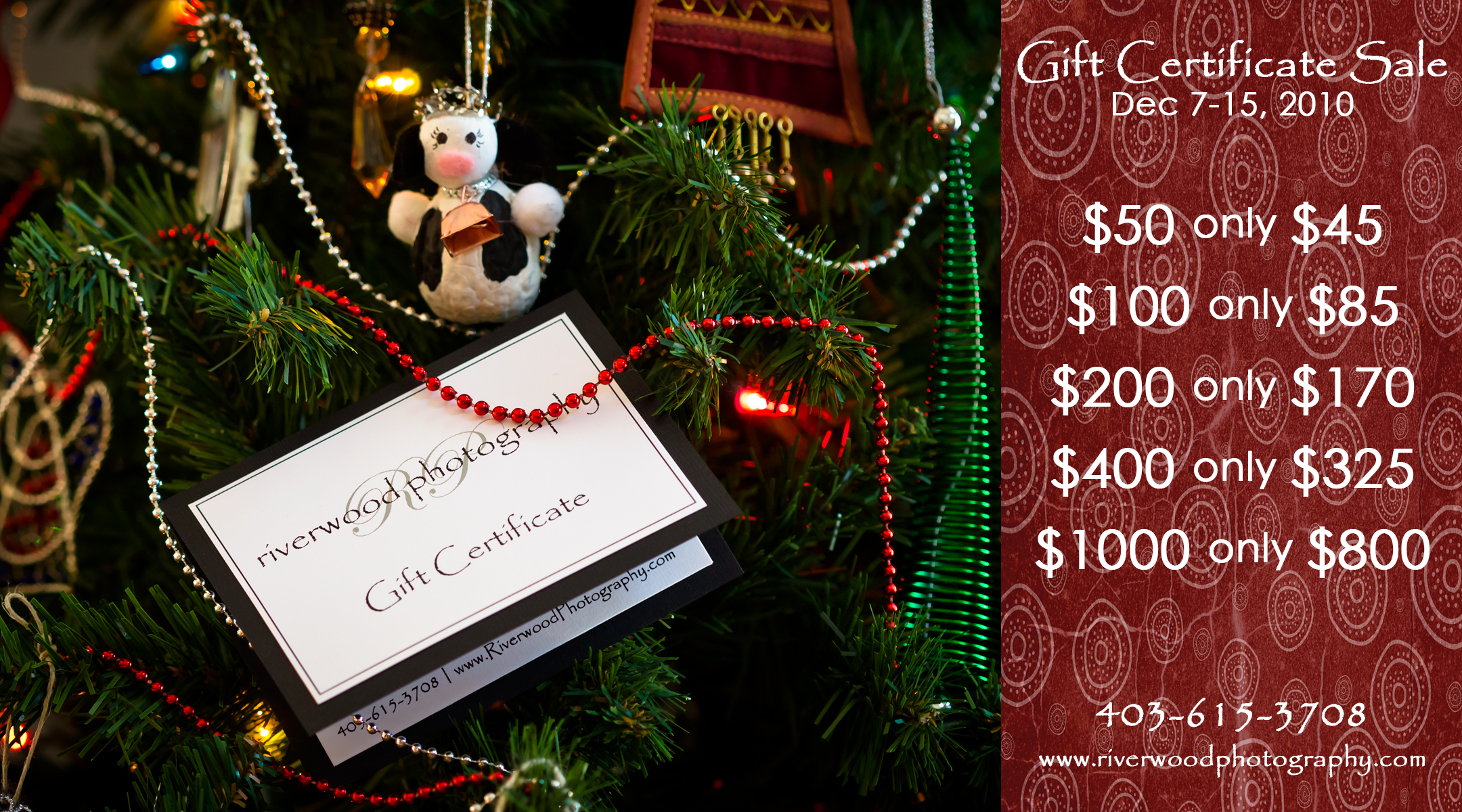 Riverwood Photography December Gift Certificate Sale