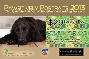 Pawsitively Portraits 2013 Poster - Pet Portrait at Pawsitively Natural Dog Daycare