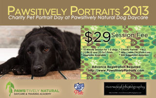 Pawsitively Portraits 2013 Poster - Pet Portrait at Pawsitively Natural Dog Daycare