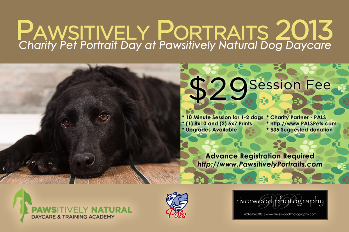 Pawsitively Portraits 2013 Poster - Pet Portrait at Pawsitively Natural Dog Daycare