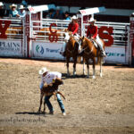 Calgary Stampede 2010
