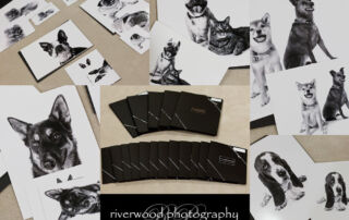 Dog Day Print Orders