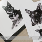 Dog Day Print Orders