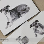 Dog Day Print Orders