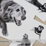 Dog Day Print Orders