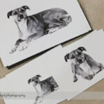 Dog Day Print Orders