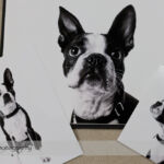 Dog Day Print Orders