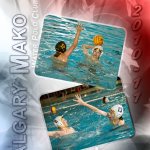Deluxe Sports Poster - Waterpolo