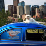 PDawgs Portrait Session