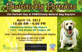 Pawsitively Portraits - Dog Day at Pawsitively Natural