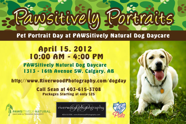 Pawsitively Portraits - Dog Day at Pawsitively Natural