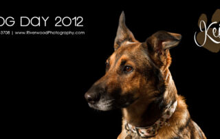 Dog Day 2012 Wrapup