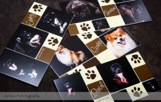 Dog Day 2012 - Wall Panel