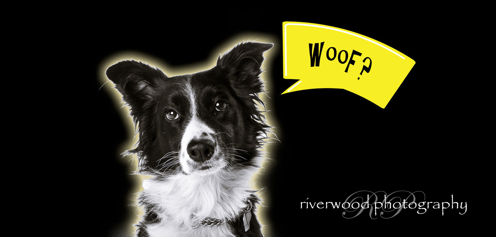 Pawsitively Portraits 2013: Dog Day FAQ