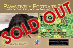 Dog Portrait Day 2013 is Fully Booked