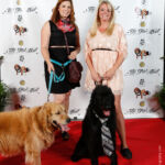 Red Carpet Pawperazzi Portrait at The Fur Ball 2013 (7)