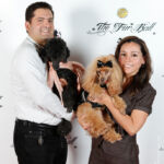 Red Carpet Pawperazzi Portrait at The Fur Ball 2013 (44)