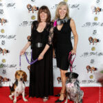 Red Carpet Pawperazzi Portrait at The Fur Ball 2013 (40)