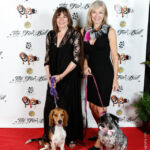 Red Carpet Pawperazzi Portrait at The Fur Ball 2013 (37)