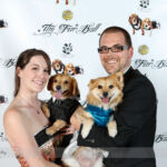 Red Carpet Pawperazzi Portrait at The Fur Ball 2013 (36)
