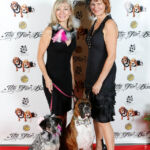 Red Carpet Pawperazzi Portrait at The Fur Ball 2013 (24)