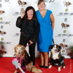 Red Carpet Pawperazzi Portrait at The Fur Ball 2013 (23)