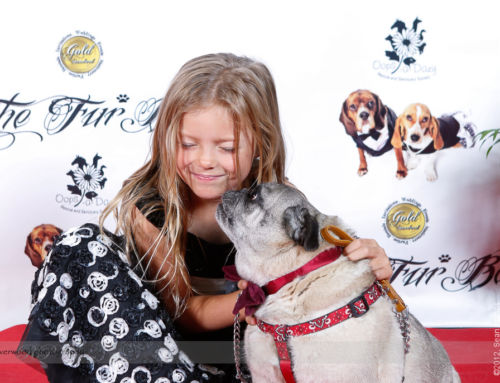 Red Carpet Photobooth at the Fur Ball 2013