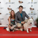 Red Carpet Pawperazzi Portrait at The Fur Ball 2013 (10)