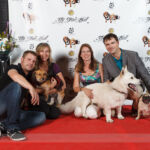 Red Carpet Pawperazzi Portrait at The Fur Ball 2013 (9)