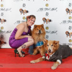 Red Carpet Pawperazzi Portrait at The Fur Ball 2013 (8)
