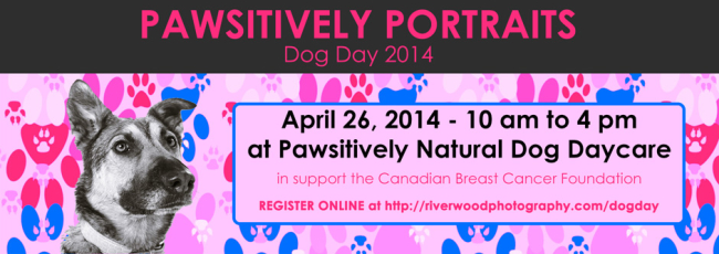 Pawsitively Portraits - Dog Day 2014