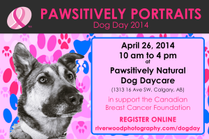 Pawsitively Portraits - Dog Day 2014