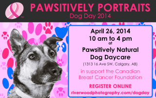 Pawsitively Portraits - Dog Day 2014