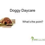 Dog Day 2014 Presentation - Slide4