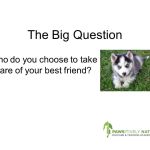 Dog Day 2014 Presentation - Slide5